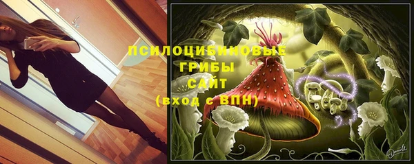 mdma Богородицк