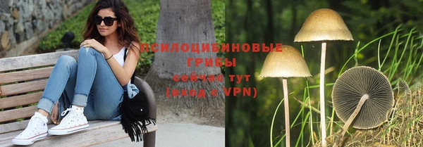 кокаин перу Богданович