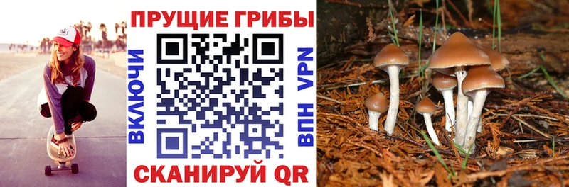 Галлюциногенные грибы ЛСД  где купить   Гулькевичи 
